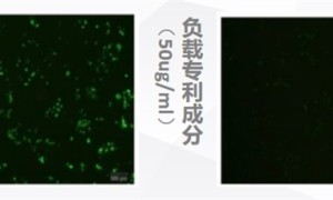 蓝光成肌肤隐形杀手，华妍光钥专利“抗蓝光”，为肌肤打造全方位保护伞！