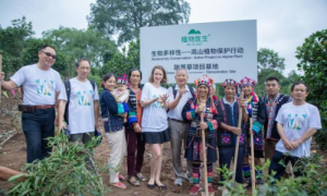 植物医生护住那片净土的样子，真的太有魅力！