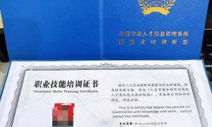 祝博雅音乐老师孙秀文荣获中华儿童文化艺术促进会艺术培训工作专家委员